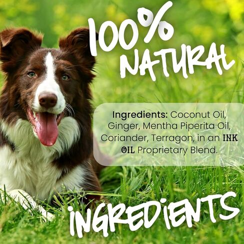 زيوت الجرو للجرو المريضة الزيت العطري للكلاب - تهدئة المعدة والقيء - زيوت تهدئة عضوية - البروبيوتيك والإنزيمات الهضمية لصحة الأمعاء للحيوانات الأليفة - ملحق بروبيوتيك معدة الكلب - 1 أوقية in Kuwait