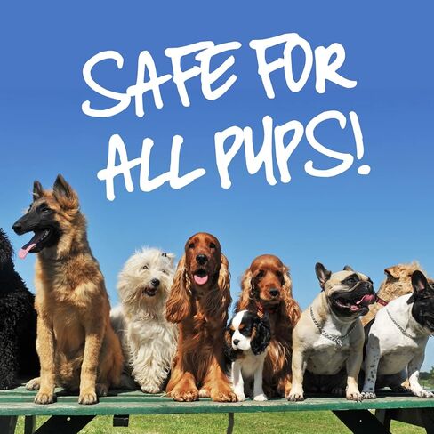 زيوت الجرو للجرو المريضة الزيت العطري للكلاب - تهدئة المعدة والقيء - زيوت تهدئة عضوية - البروبيوتيك والإنزيمات الهضمية لصحة الأمعاء للحيوانات الأليفة - ملحق بروبيوتيك معدة الكلب - 1 أوقية in Kuwait