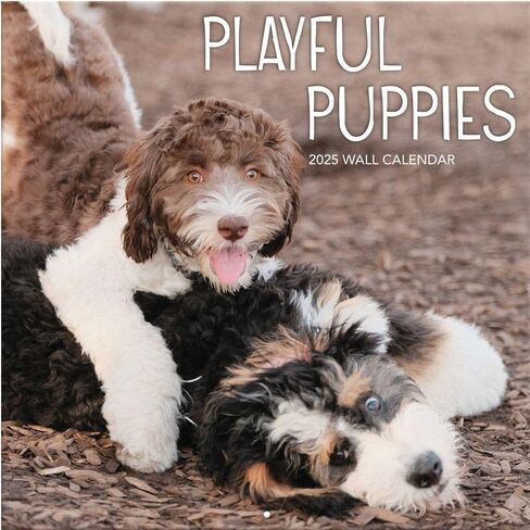TURNER PHOTOGRAPHIC Playful Puppies 12x12 Photo Wall Calendar (25998940045) in Kuwait