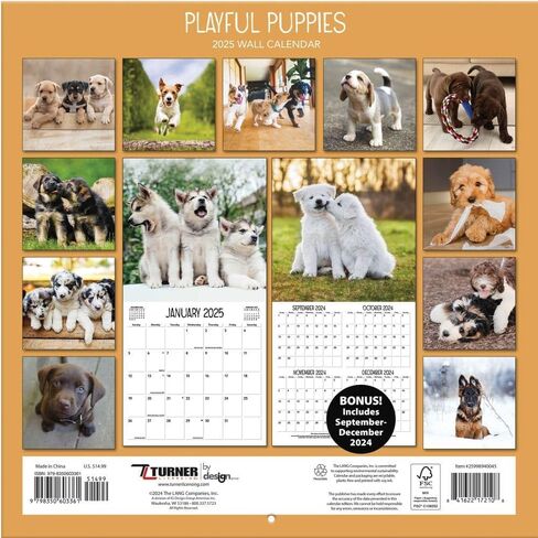 TURNER PHOTOGRAPHIC Playful Puppies 12x12 Photo Wall Calendar (25998940045) in Kuwait