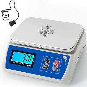 High Precision Scale 10kg x 0.5g Electronic Industrial Weighing Scale Digital Lab Scale Portable Analytical Balance Counting Scale Jewery Kitchen Scale (10kg/22lb x 0.5g/0.001lb)
