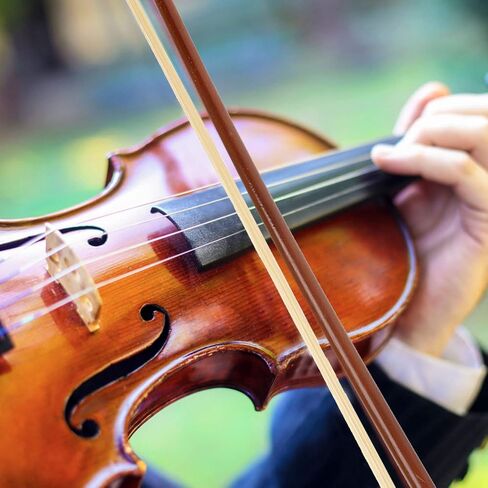 Vaguelly Fiddle 1/4 Size Violin Bow With White Horse Hair Light Weight Student Practice Violin Bow,Well Balanced Sandalwood Bow for Violin,55CM Hair Supplies in Kuwait