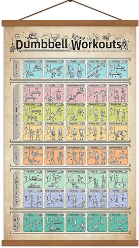 ملصق تمرين الدمبل وتمارين تدريب الدمبل ومخطط اللياقة البدنية للمنزل وصالة الألعاب الرياضية 16 بوصة × 27 بوصة مع إطار in Kuwait