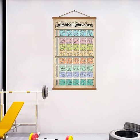 ملصق تمرين الدمبل وتمارين تدريب الدمبل ومخطط اللياقة البدنية للمنزل وصالة الألعاب الرياضية 16 بوصة × 27 بوصة مع إطار in Kuwait