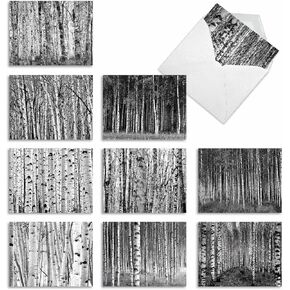 The Best Card Company 10 Assorted Thank You Notes Boxed Set 4 x 5.12 Inch with Envelopes (10 Designs, 1 Each) In The Mail M9681TYG
