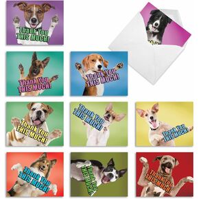 The Best Card Company - 10 Boxed Thank You Cards w/Envelopes, Animal Appreciation Stationery Set for Men Women Kids - Egg-Cellence M10035TY