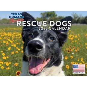 Rescue Dog Calendar 2025 Wall Monthly Calander Helping Dogs In Need Dog Lovers Gift 12 Month | American Made In The USA