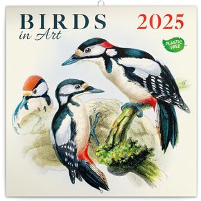 Calendar 2024-2025, Birds Wall Calendar, Monthly Calendar, 16 Month Hanging Calendar Sep 2024 - Dec 2025, 12x12 in.