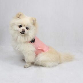 Dog Anxiety Vest, Anxiety Relief for Dogs, Dog Calming Coat (Rose S)