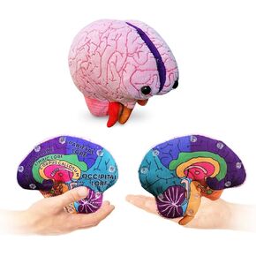GIANTmicrobes Brain Model, Human Brain Anatomy Model, Brain Model for Kids, Brain Model for Neuroscience, Brain Model for Teaching, Brain Model for Psychology, 3D Brain Model, Brain Anatomy Toy
