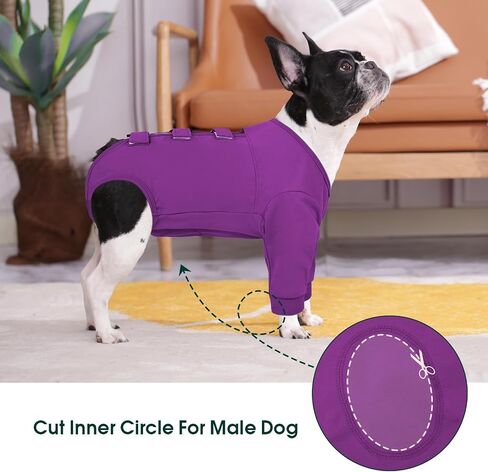 Kuoser Dog Surgery Suit Female Spay, Dog Recovery Sleeves for Front Legs, Prevent Licking Recovery Suit for Dogs, Pet Surgical Suit Dog Onesie, Dog Elbow Protector for Leg Injuries and Joint Pain in Saudi Arabia