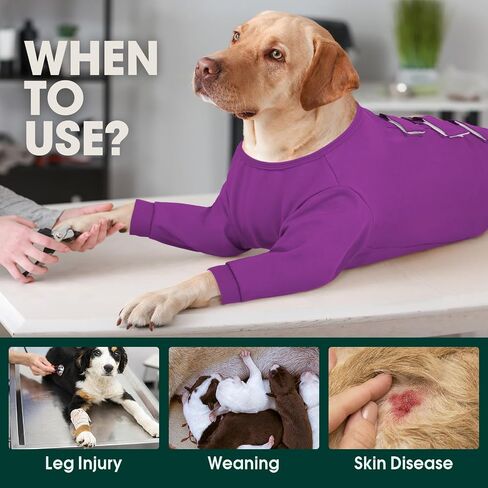 Kuoser Dog Surgery Suit Female Spay, Dog Recovery Sleeves for Front Legs, Prevent Licking Recovery Suit for Dogs, Pet Surgical Suit Dog Onesie, Dog Elbow Protector for Leg Injuries and Joint Pain in Saudi Arabia