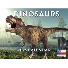 Dinosaur Calendar 2025 Kids Monthly Wall Calender 12 Month | American Made In The USA