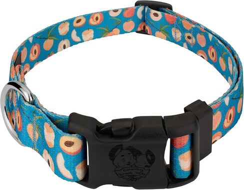 Country Brook Petz - Deluxe Peaches Dog Collar Limited Edition - Made in The U.S.A. - Tasty Collection Featuring Yummy Designs (1 Inch, Medium) in Saudi Arabia