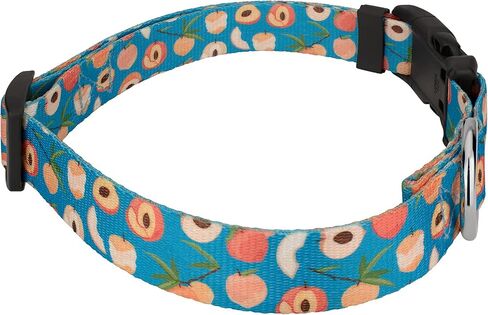 Country Brook Petz - Deluxe Peaches Dog Collar Limited Edition - Made in The U.S.A. - Tasty Collection Featuring Yummy Designs (1 Inch, Medium) in Saudi Arabia