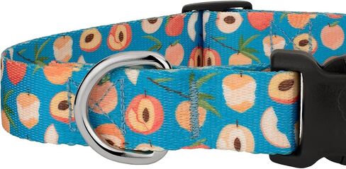 Country Brook Petz - Deluxe Peaches Dog Collar Limited Edition - Made in The U.S.A. - Tasty Collection Featuring Yummy Designs (1 Inch, Medium) in Saudi Arabia
