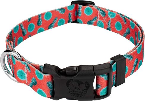 Country Brook Petz - Deluxe Peaches Dog Collar Limited Edition - Made in The U.S.A. - Tasty Collection Featuring Yummy Designs (1 Inch, Medium) in Saudi Arabia