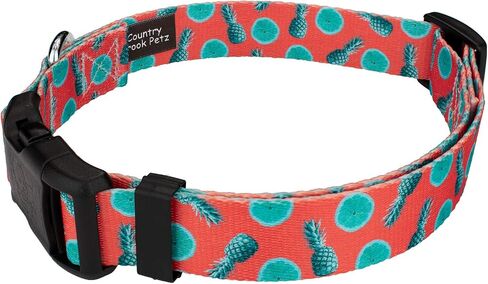 Country Brook Petz - Deluxe Peaches Dog Collar Limited Edition - Made in The U.S.A. - Tasty Collection Featuring Yummy Designs (1 Inch, Medium) in Saudi Arabia