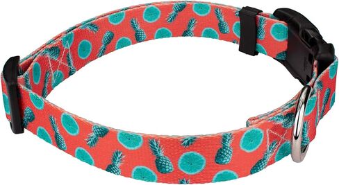 Country Brook Petz - Deluxe Peaches Dog Collar Limited Edition - Made in The U.S.A. - Tasty Collection Featuring Yummy Designs (1 Inch, Medium) in Saudi Arabia