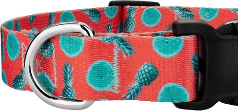 Country Brook Petz - Deluxe Peaches Dog Collar Limited Edition - Made in The U.S.A. - Tasty Collection Featuring Yummy Designs (1 Inch, Medium) in Saudi Arabia