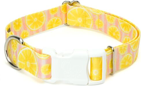 Country Brook Petz - Deluxe Peaches Dog Collar Limited Edition - Made in The U.S.A. - Tasty Collection Featuring Yummy Designs (1 Inch, Medium) in Saudi Arabia