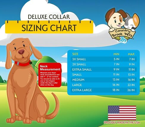 Country Brook Petz - Deluxe Peaches Dog Collar Limited Edition - Made in The U.S.A. - Tasty Collection Featuring Yummy Designs (1 Inch, Medium) in Saudi Arabia
