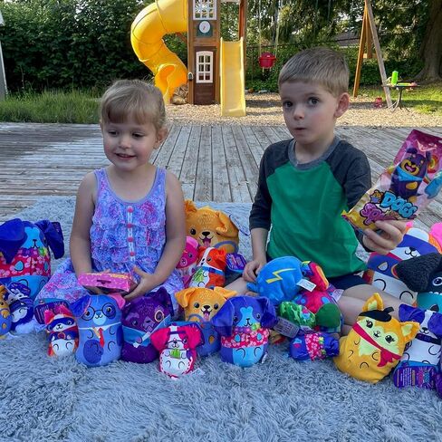 Dogs vs Squirls - Mystery Bag - 1pk - Chonk - Super-Soft & Bean-Filled Plushies! Collect These as Desk Pets, Fidget Toys, or Sensory Toys - Great for Kids, Boys, & Girls!, 6 inches (V2011) in Saudi Arabia
