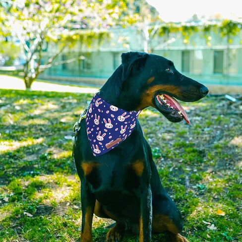 Realeaf 4th of July Dog Bandanas 2 Pack, Reversible American Flag Pet Scarf for Boy and Girl, Premium Durable Fabric, Patriotic Bandana for Medium and Large Dogs (Large) in Kuwait