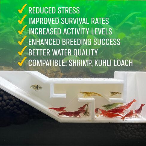 Aquarium Shrimp Party Tunnel, Includes Exquisite VIP Room and Two Entrances, Tunnel Cave for Shrimplets to Rest and Hide, Decor Hideaway Tunnel Made from Canada (Black) in Saudi Arabia