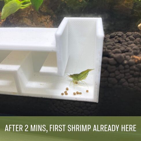 Aquarium Shrimp Party Tunnel, Includes Exquisite VIP Room and Two Entrances, Tunnel Cave for Shrimplets to Rest and Hide, Decor Hideaway Tunnel Made from Canada (Black) in Saudi Arabia
