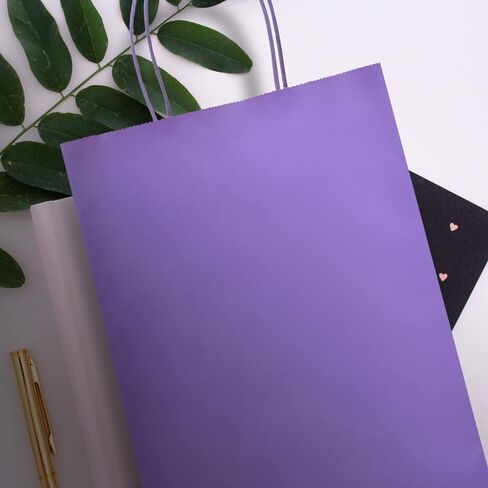 Nexmint Purple Gift Bag 8"x10.5": 24 Pack Bulk Medium Kraft Paper Bags with Handle. Great for Halloween, Birthday, Holiday Party, Autumn Festivities, Favors, Goodie, Candies, Shopping, Business, Retail in Saudi Arabia