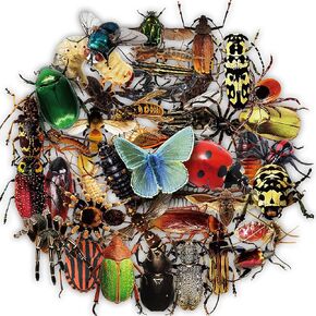 50Pcs Transparent Realistic Insect Stickers, Borderless Transparent Bug Stickers for Scrapbooking, Water Bottles, Envelopes, Laptop
