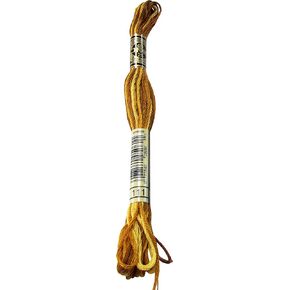 Dmc 6-Strand Embroidery Cotton 8.7yd-Variegated Mustard