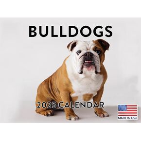 Bulldog Calendar 2025 Monthly Wall Calender 12 Month | American Made In The USA