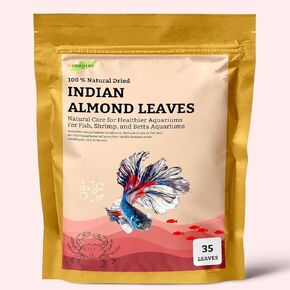 Premium Indian Almond Leave. Catappa Leaves Rich in Tannin. Awsome Aquarium Decorations (Large). 50 Leaves 10-12 inchs.