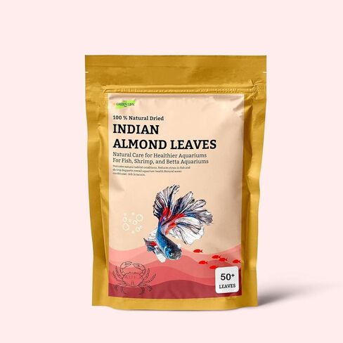 Premium Indian Almond Leave. Catappa Leaves Rich in Tannin. Awsome Aquarium Decorations (Large). 50 Leaves 10-12 inchs. in Saudi Arabia