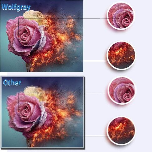 Wolfgray متوافق LC61 LC65 حبر حزمة 12 حزمة-استبدال الأخ LC-61 LC-65 LC61BK LC61C LC61M LC61Y لـ MFC-490CW MFC-495CW MFC-J615W MFC-J630W in Saudi Arabia