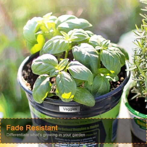 Oozmas Replacement for Dymo 45013 Label Maker Refills D1 Label Manager 160 Tape A45013 45013s S0720530 Compatible with Dymo D1 Labelmanager 280 Black on White 1/2 Inch x 23 Feet, 3 Cartridges in Kuwait
