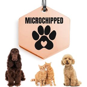 Universal Pet Tag Microchipped Pet Notation Fits All Collar Types Tag Chip Tag for Pets Dog Collar Gift Chip ID (Badge_Silver)