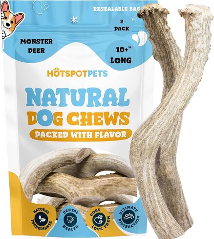 hotspot pets Premium Whole Deer Antlers for Dogs - 8+ Inch X-Large Deer Antler Dog Chews - Naturally Shed for Large Breed Aggressive Chewers - Sourced in USA (1, X-Large Antler) in Kuwait