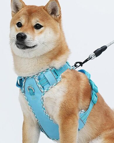 Petank Dog Harness Small Sized Dog, Puppy Harness Small Size Dog for Dog Training Walking, No Pull Dog Harness for Small Dogs, XXS Dog Harness (Pink, XXS) in Saudi Arabia