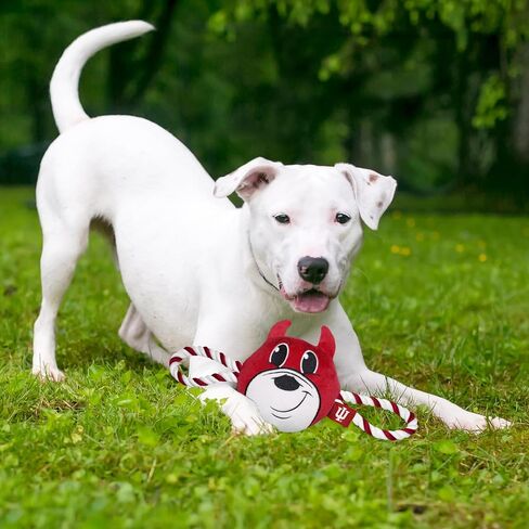 Pets First NCAA Ohio Buckeyes Nylon Mascot Dog Toy with Tough Dog Ropes & Inner Squeaker in Bright Team Colors in Saudi Arabia