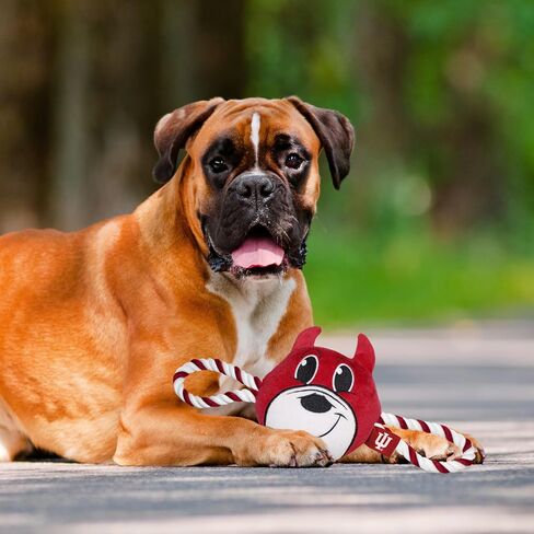 Pets First NCAA Ohio Buckeyes Nylon Mascot Dog Toy with Tough Dog Ropes & Inner Squeaker in Bright Team Colors in Saudi Arabia