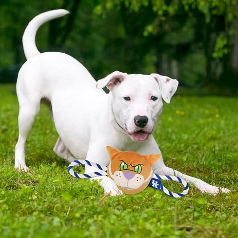 Pets First NCAA Ohio Buckeyes Nylon Mascot Dog Toy with Tough Dog Ropes & Inner Squeaker in Bright Team Colors in Saudi Arabia