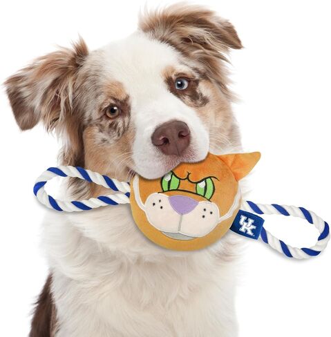 Pets First NCAA Ohio Buckeyes Nylon Mascot Dog Toy with Tough Dog Ropes & Inner Squeaker in Bright Team Colors in Saudi Arabia