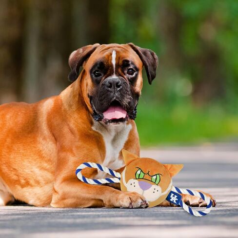 Pets First NCAA Ohio Buckeyes Nylon Mascot Dog Toy with Tough Dog Ropes & Inner Squeaker in Bright Team Colors in Saudi Arabia