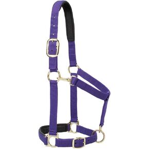 Weaver Leather Padded Adjustable Chin and Throat Snap Halter, 1" Average Horse or Yearling Draft, Solid Purple