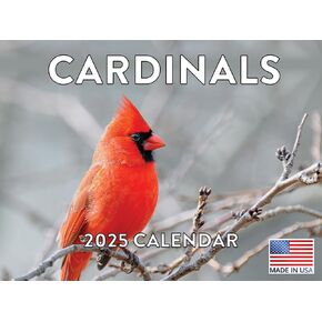 Cardinal Calendar 2025 Cardinals Monthly Wall Calender 12 Month | American Made In The USA