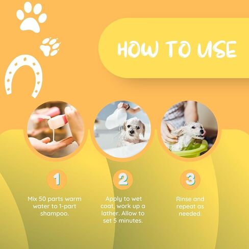 Kelco by Laube Color Enhancing Pet Shampoo - Pro Gold Shampoo for Yellow, Tan, Amber & Brown Coats - Natural, Hypoallergenic Formula for Grooming Dogs, Cats, and Pets (50:1 Concentrated, 11 fl oz) in Saudi Arabia
