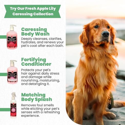 Best Shot Scentament Spa Caressing Body Wash, Fresh Apple Lily, 16 oz in Kuwait